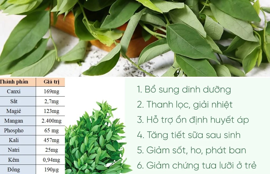 Giá trị dinh dưỡng của rau ngót